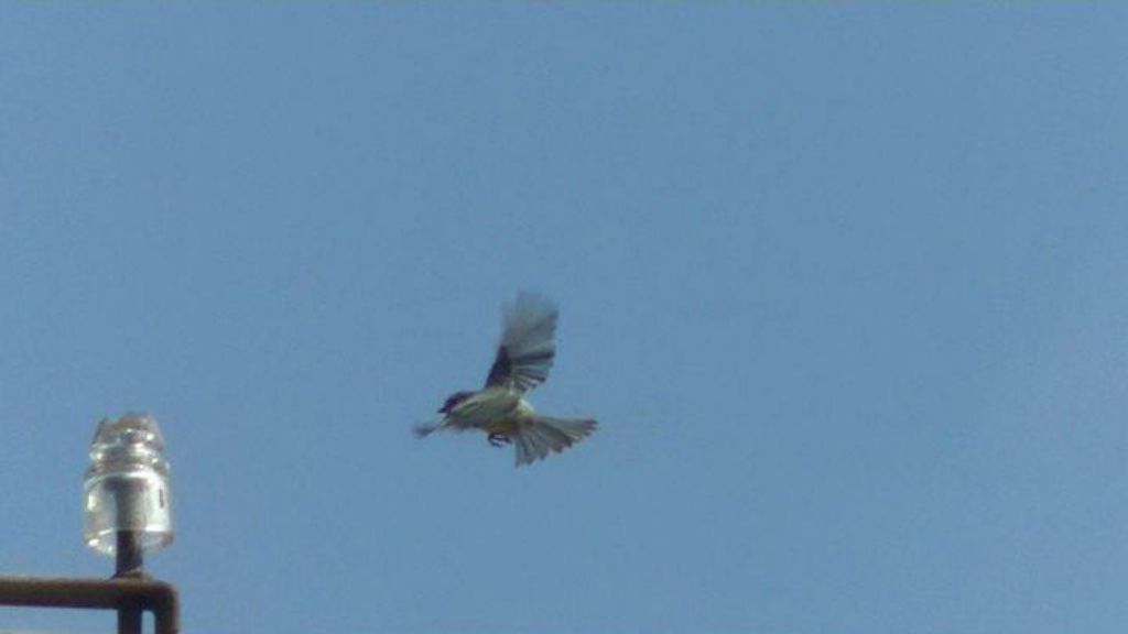 Riassunto prime due settimane